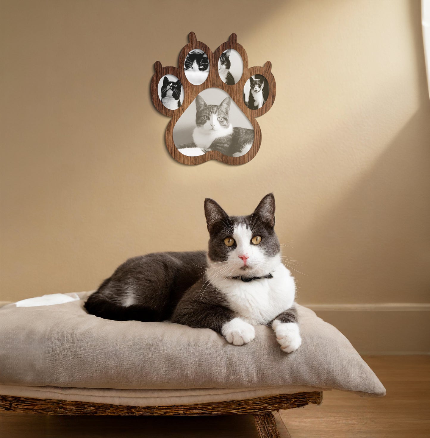 Huella de gato con fotos