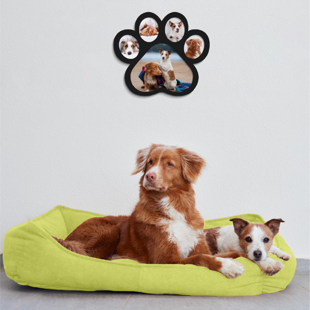 Huella de perro con fotos personalizado