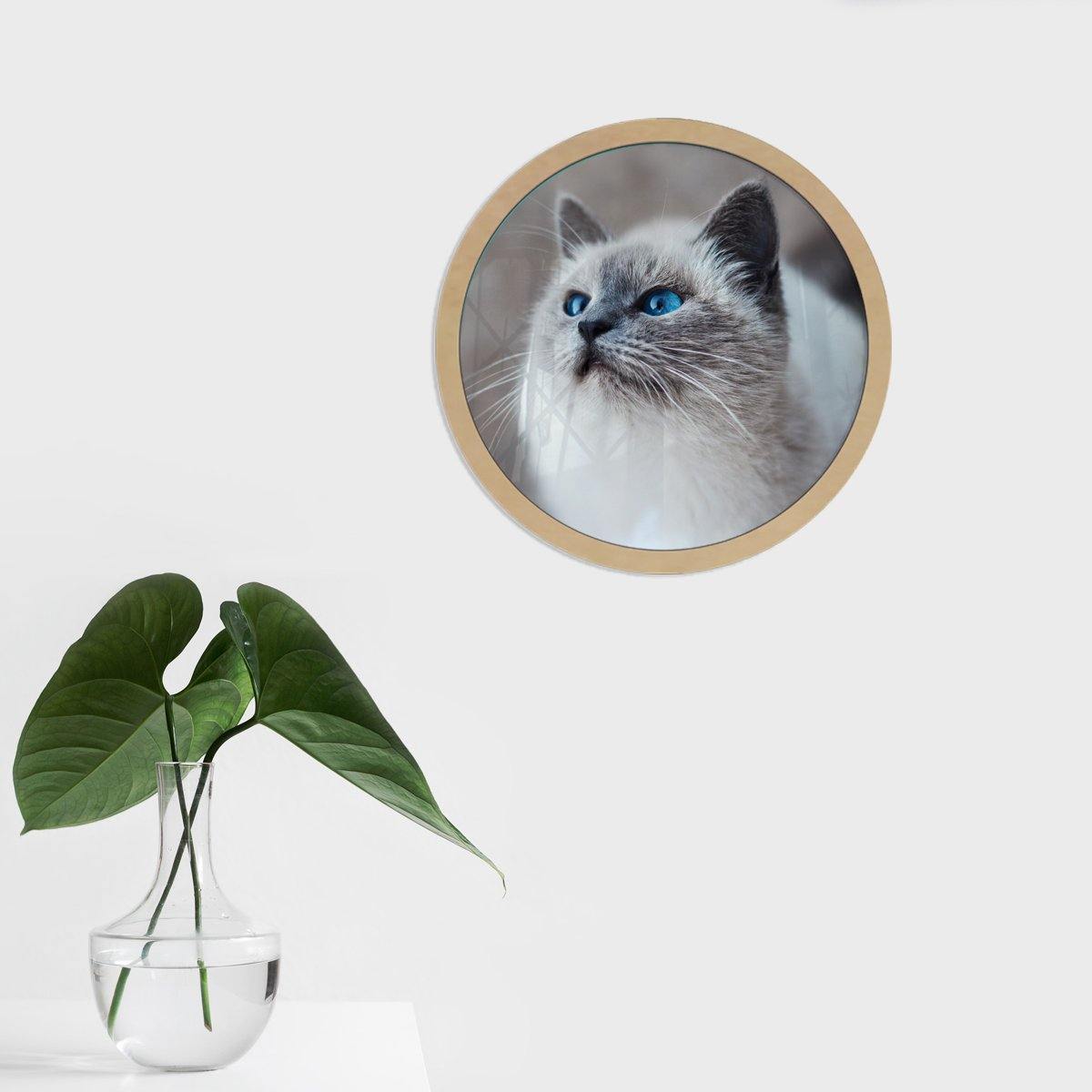 Gato ojos azules - Diseño con vidrio - FABRITECA