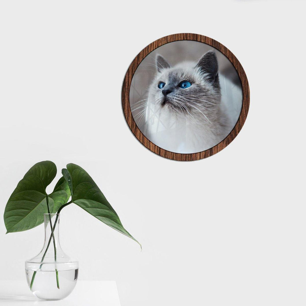 Gato ojos azules - Diseño con vidrio - FABRITECA